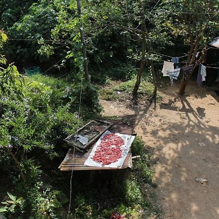 Munnar Kaippalli Budget Homestay Esterno foto