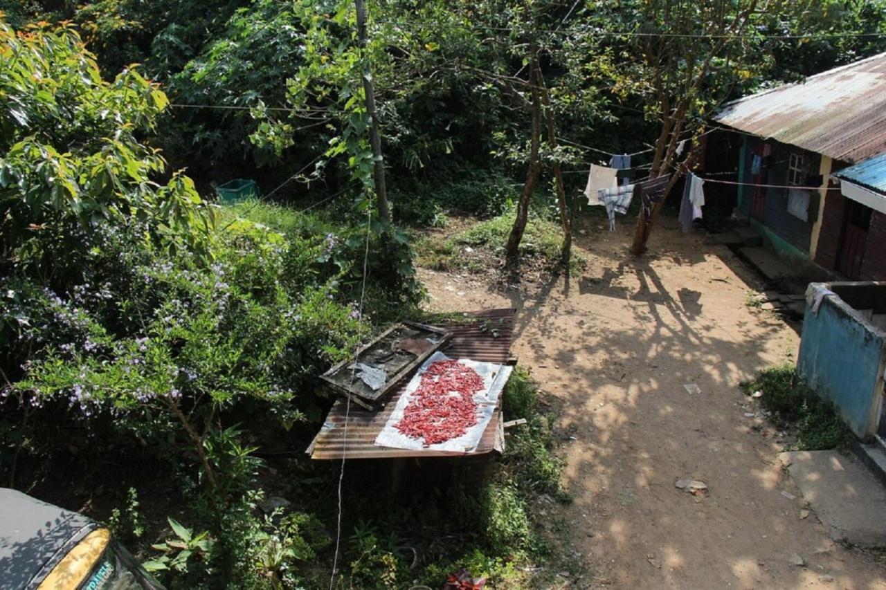 Munnar Kaippalli Budget Homestay Esterno foto